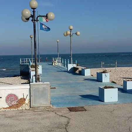 Ornella Al Mare Daire Marotta